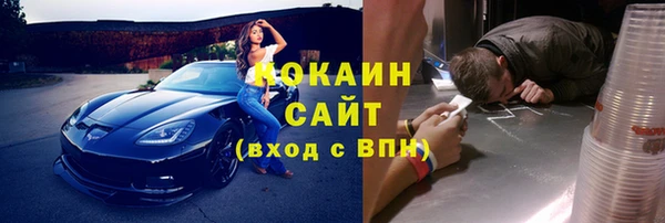 гашик Сосновый Бор
