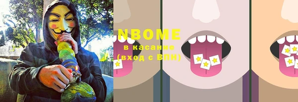 гашик Сосновый Бор