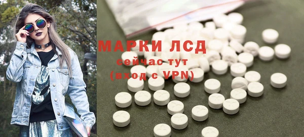 гашик Сосновый Бор