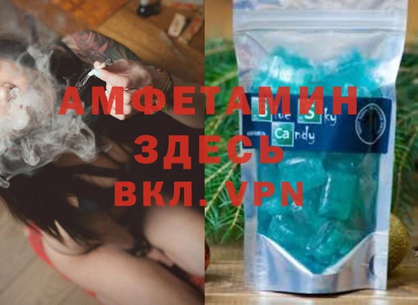 гашик Сосновый Бор