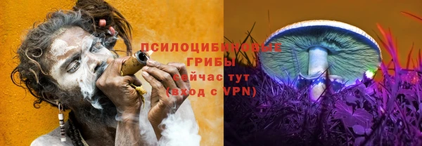 гашик Балабаново